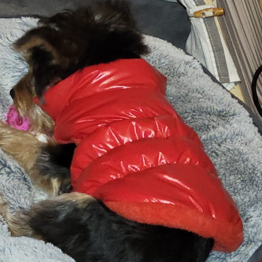 New Red Puffer Dog Jacket Coat Size M | Warm Winter Pet Vest